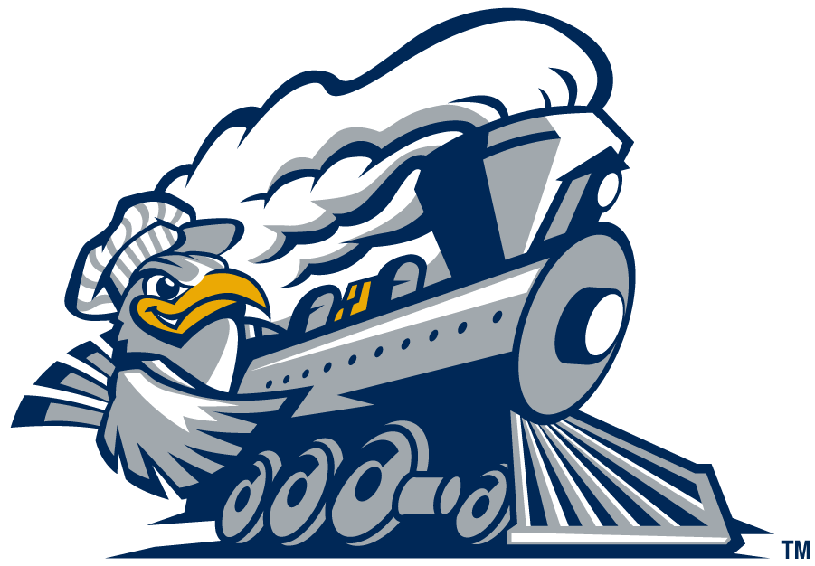 Chattanooga Mocs 1997-2008 Alternate Logo v4 diy iron on heat transfer